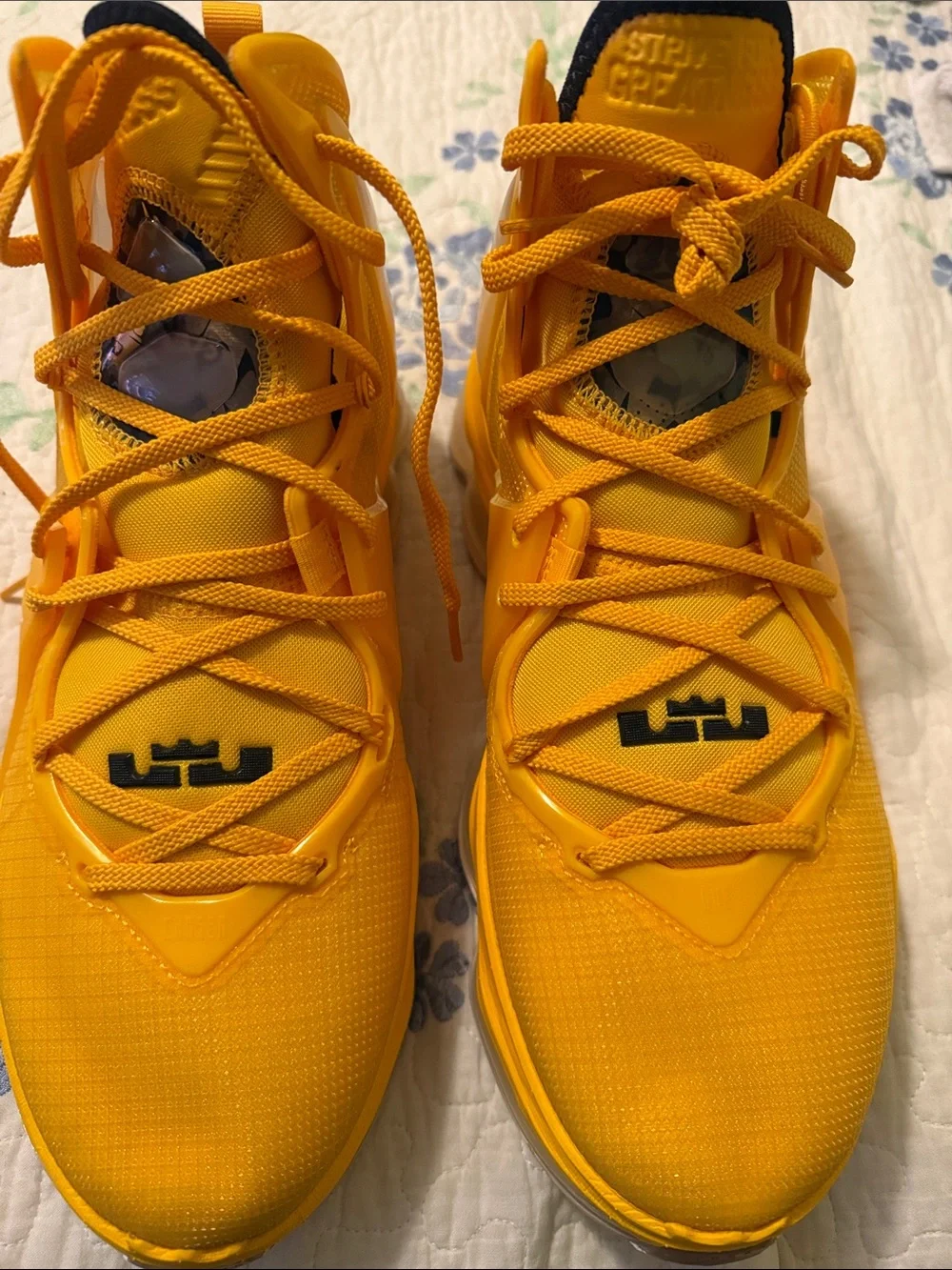 Nike- LeBron 19 Hard Hat - Size 11
